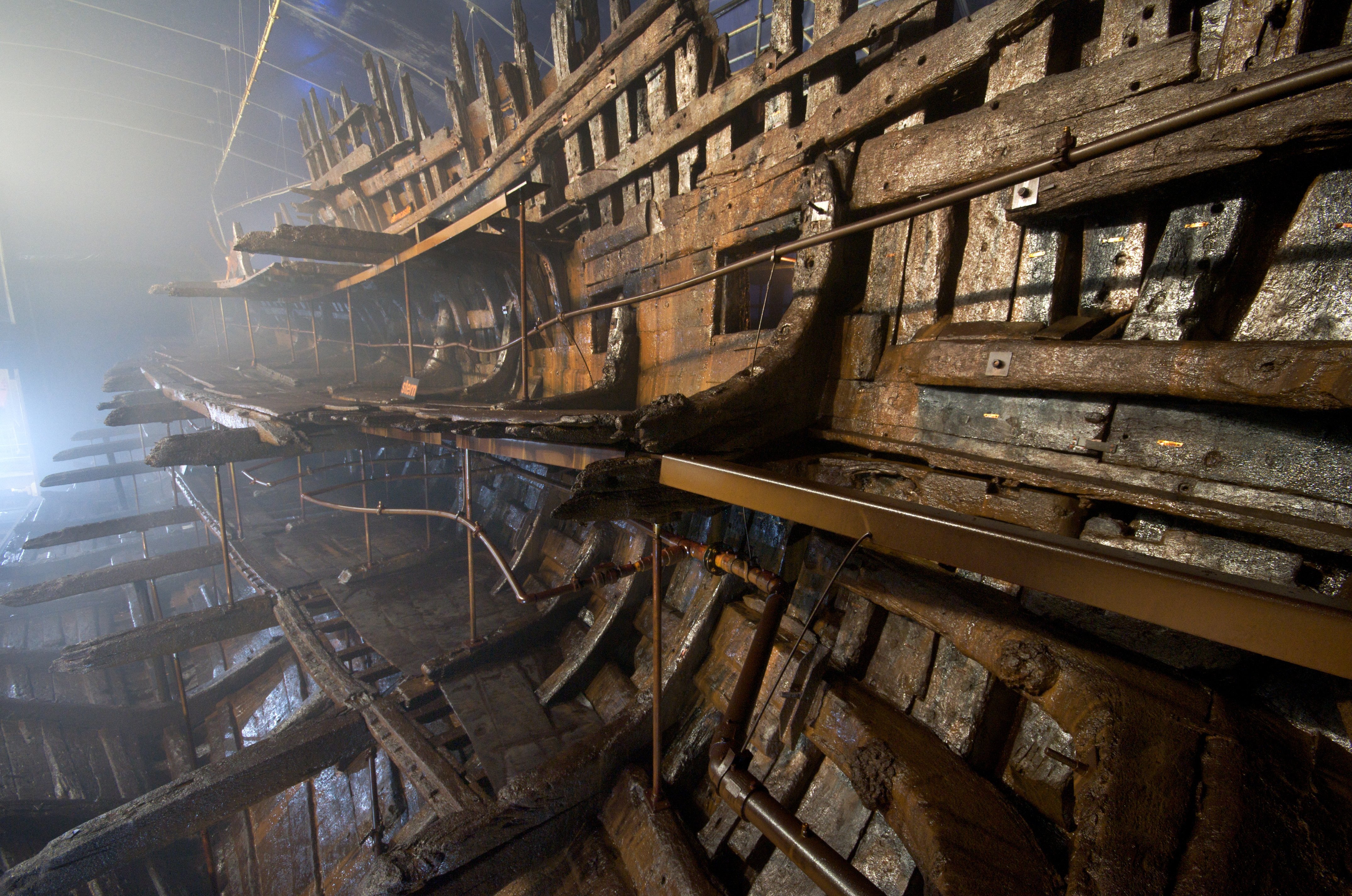 The Mary Rose